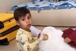 Арай Чобанян: Наша квартира будет готова через месяц