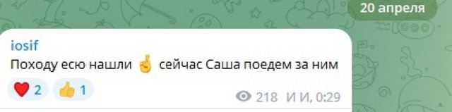Черно не признала в найденном коте своего любимого Йосю