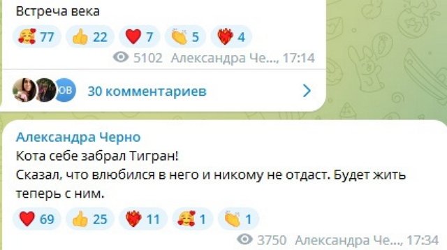 Александра Черно: Я на радостях подумала, что он мой