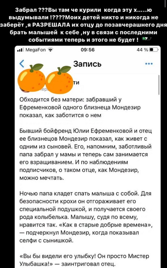 Юлия Ефременкова: Моих детей никто и никогда не заберёт!