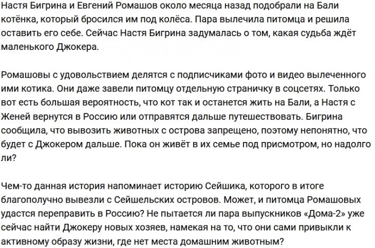 Супруги Ромашовы переживают за дальнейшую судьбу Джокера