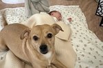 Ольга Орлова: Я учу своих детей любить!