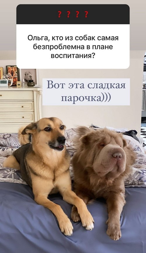 Ольга Орлова: У нас разные бюджеты
