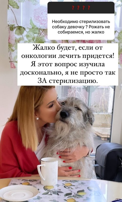 Ольга Орлова: У нас разные бюджеты