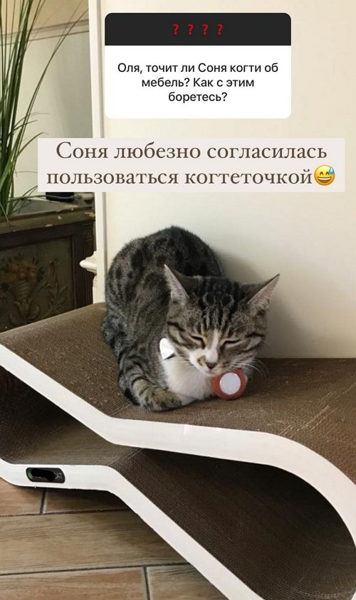 Ольга Орлова: У нас разные бюджеты