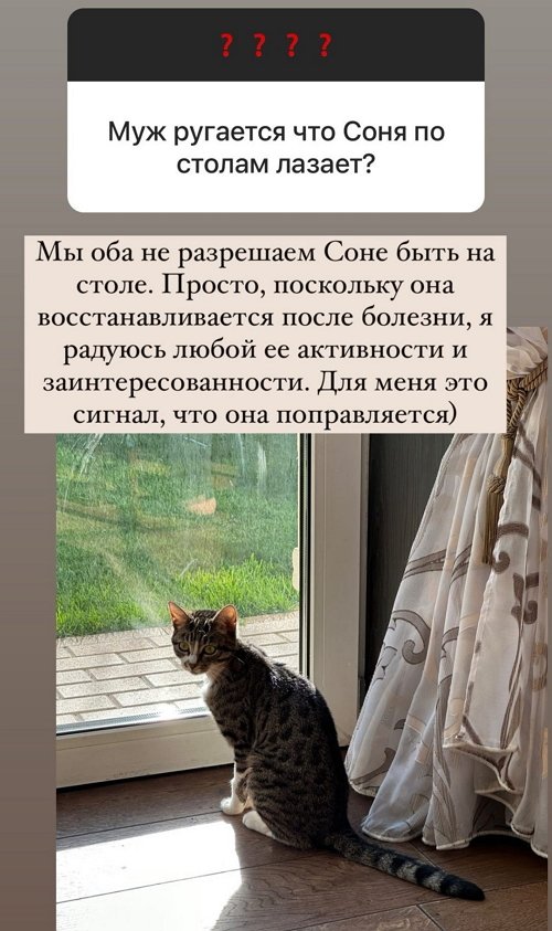 Ольга Орлова: У нас разные бюджеты