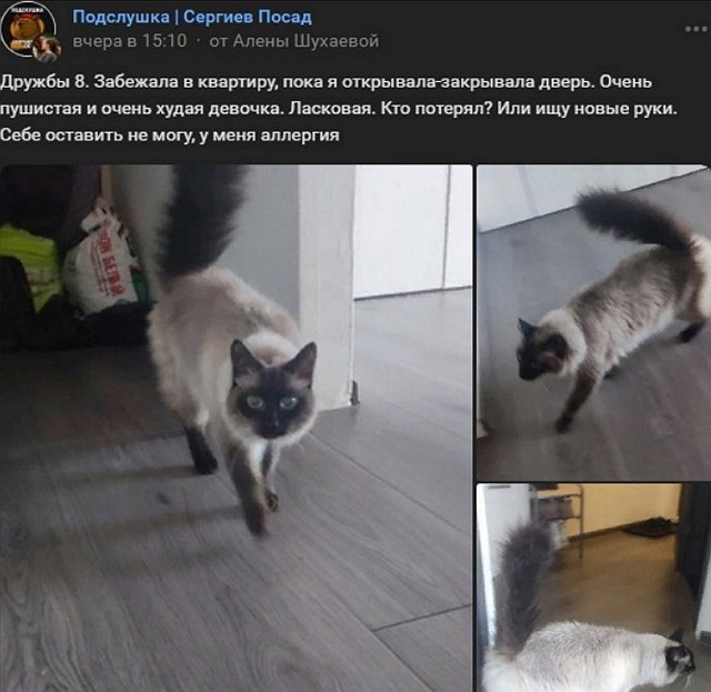 Александра и Иосиф Оганесяны избавились от найдёныша?