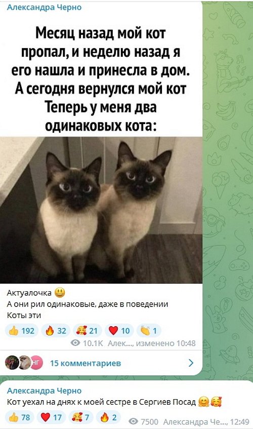 Александра и Иосиф Оганесяны избавились от найдёныша?