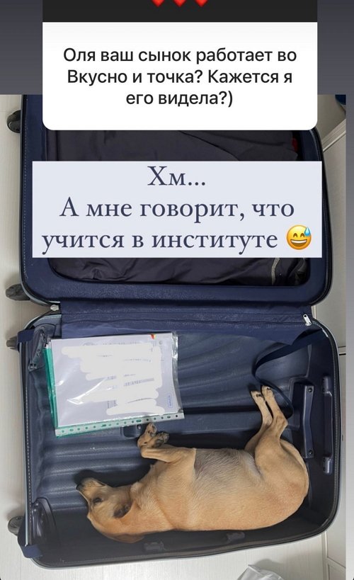 Ольга Орлова: Я не против учиться чему-то новому