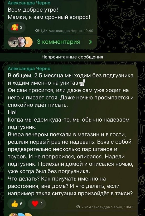 Александра Черно: Не попросился и описался...