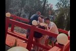 Новости от журнала Дом-2 на 5.06.2023