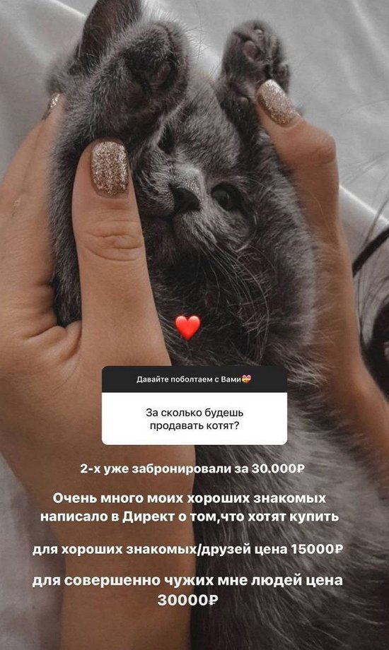 Анастасия Балтер: У меня никого нет!