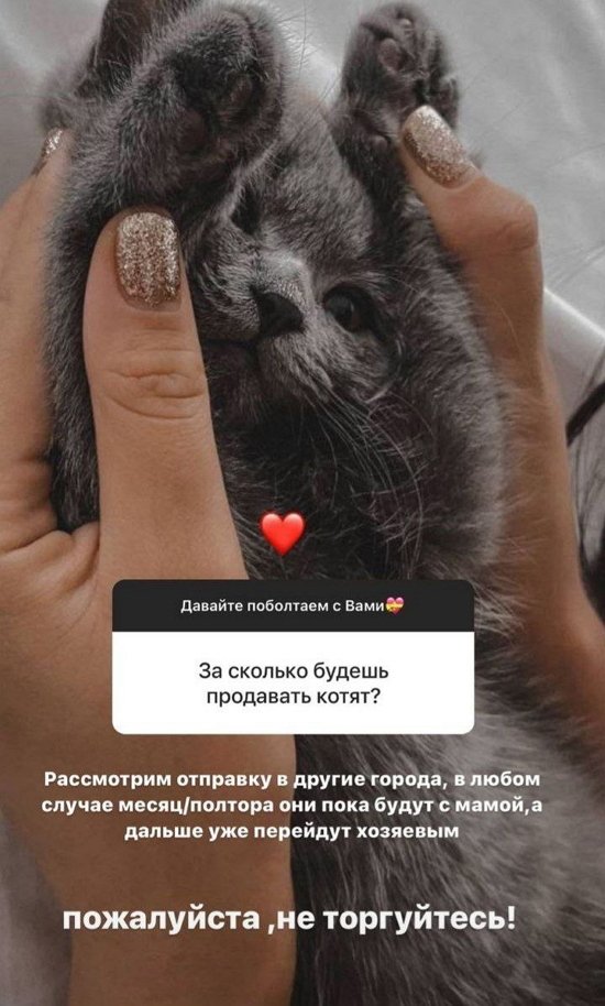 Анастасия Балтер: У меня никого нет!