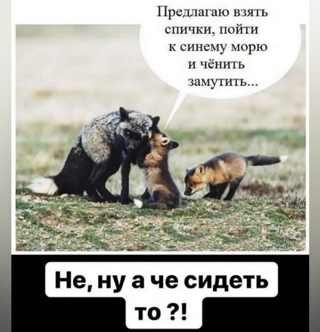 Зрительский обзор последних событий (12.06.2023) Зрительский обзор последних событий (12.06.2023)