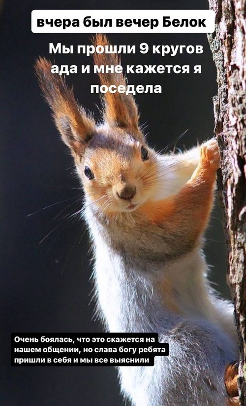 Супруги Ромашовы набрались опыта, глядя на ссору друзей