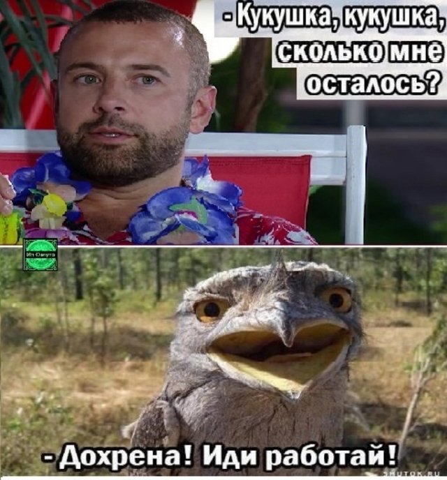 Приколы про Дом-2 (17.06.2023)