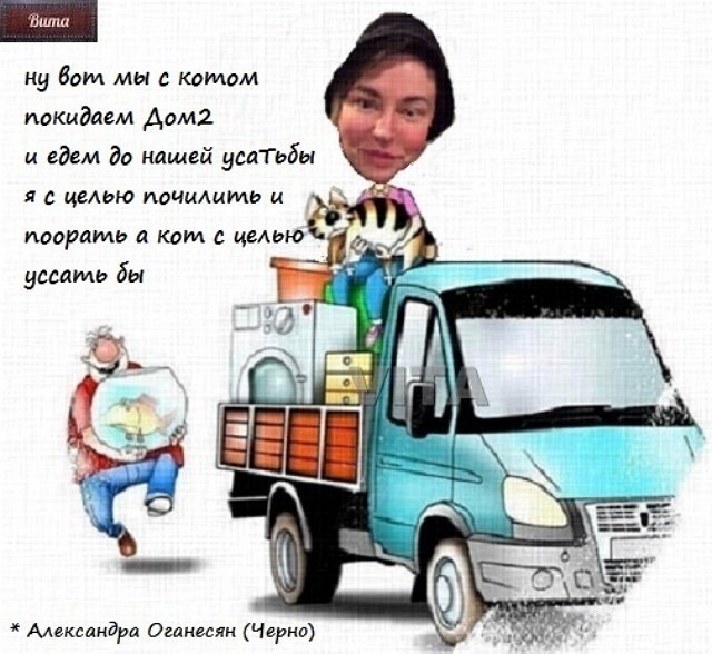 Приколы про Дом-2 (18.06.2023)