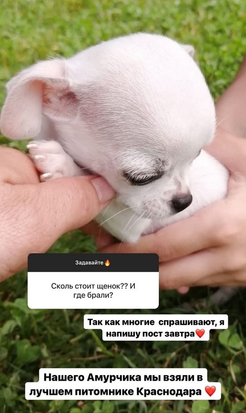 Татьяна Репина: Мы в хороших отношениях