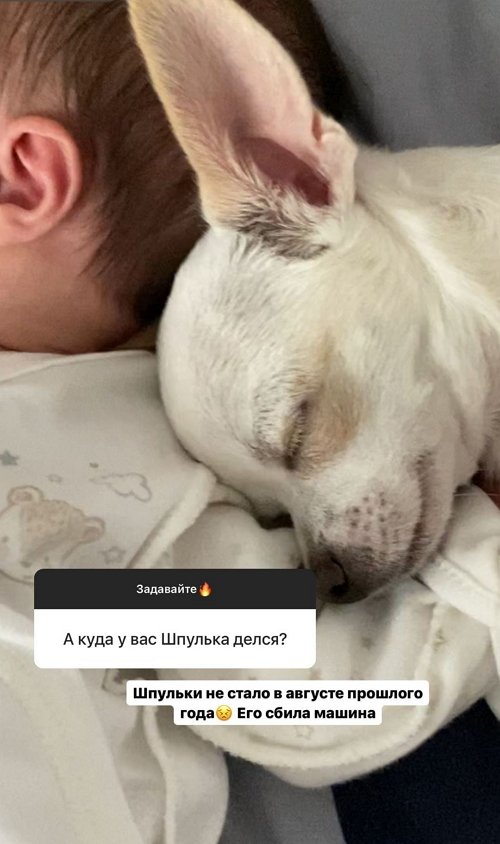 Татьяна Репина: Мы в хороших отношениях