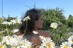 Май Абрикосов: Одни и те же лица...