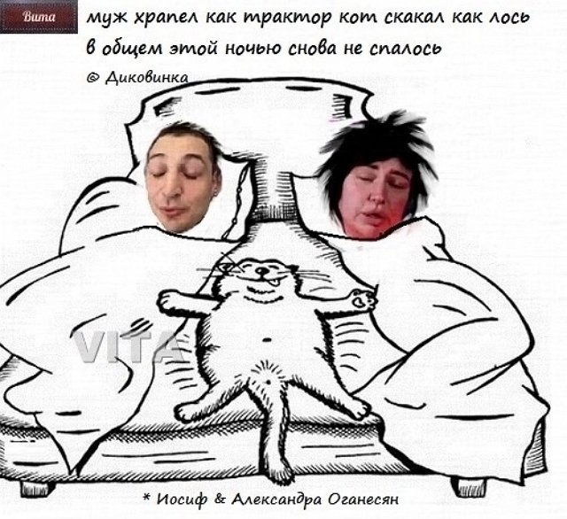 Приколы про Дом-2 (24.06.2023)