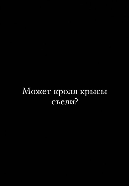 Тигран Салибеков: Кролики - это не только ценный мех