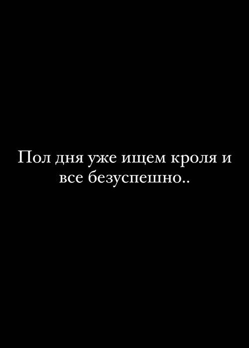 Тигран Салибеков: Кролики - это не только ценный мех