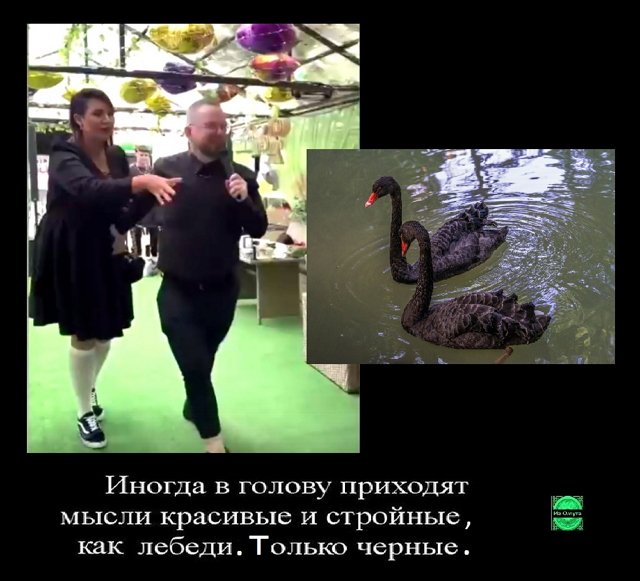 Приколы про Дом-2 (29.06.2023)