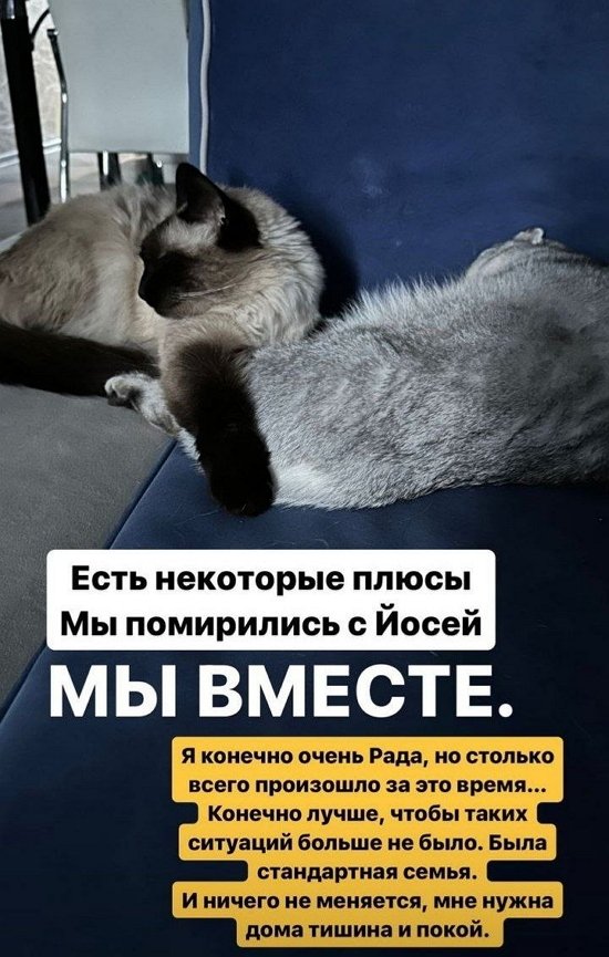 Александра Черно: Пришло время делать чек-ап...