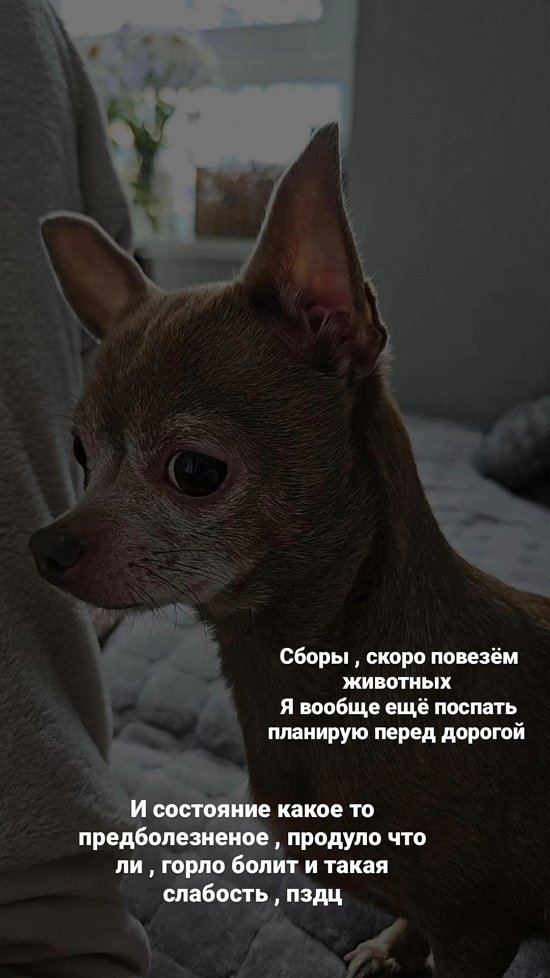 Ольга Ветер: Я бешусь, что не могу сию секунду его забрать