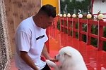 Илья Яббаров: Вся страна ждала Ваню!