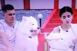 Новости на 14.07.2023 от Кота Баюна