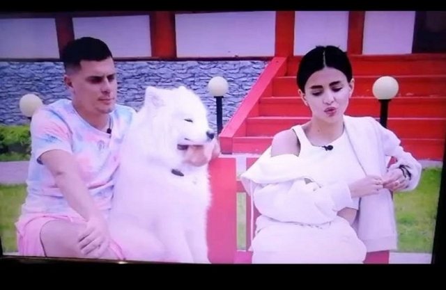 Новости на 14.07.2023 от Кота Баюна Новости на 14.07.2023 от Кота Баюна
