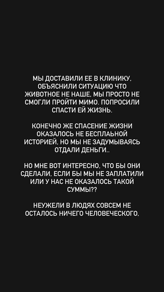 Евгений Ромашов: В людях не осталось ничего человеческого?