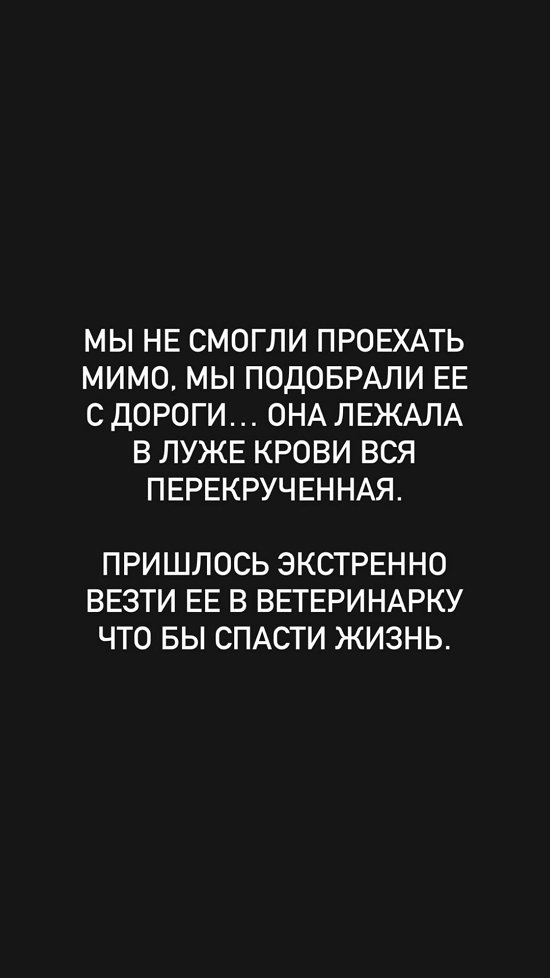 Евгений Ромашов: В людях не осталось ничего человеческого?