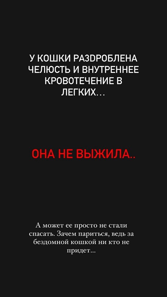 Евгений Ромашов: В людях не осталось ничего человеческого?