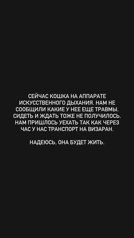 Евгений Ромашов: В людях не осталось ничего человеческого?