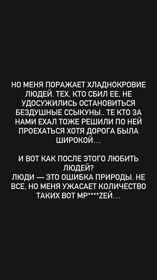 Евгений Ромашов: В людях не осталось ничего человеческого?