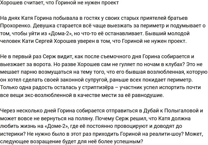 Хорошев заявил, что Гориной не нужна телестройка