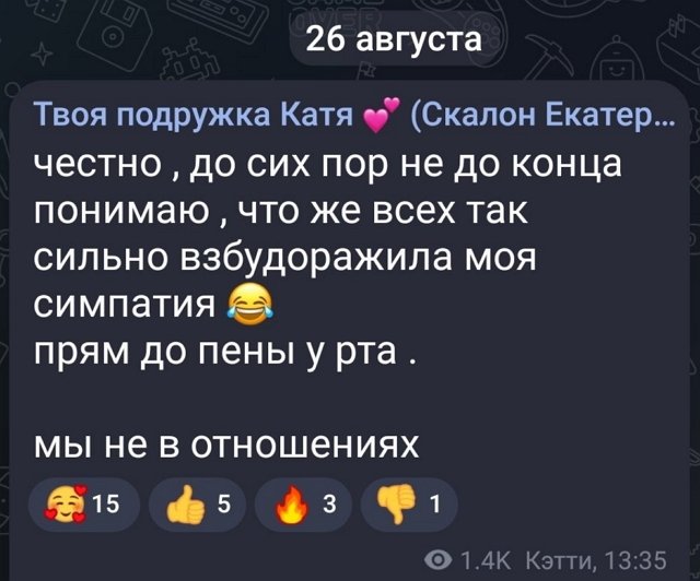 Екатерина Скалон: Почему это всех взбудоражило?