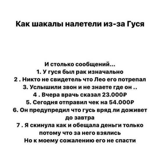 Алексей Адеев: Это слишком цинично...