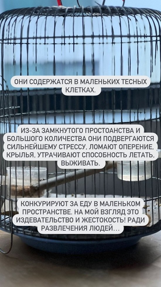 Евгений Ромашов: Хотел помочь, а попал в неприятности...