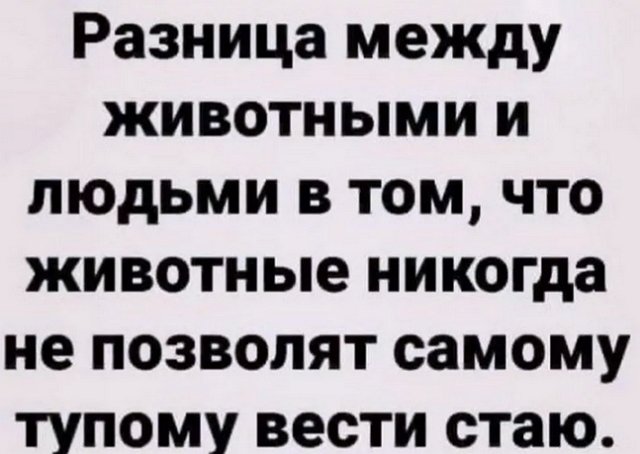 Александра Бахлаева нелестно высказалась в адрес Ивана Барзикова