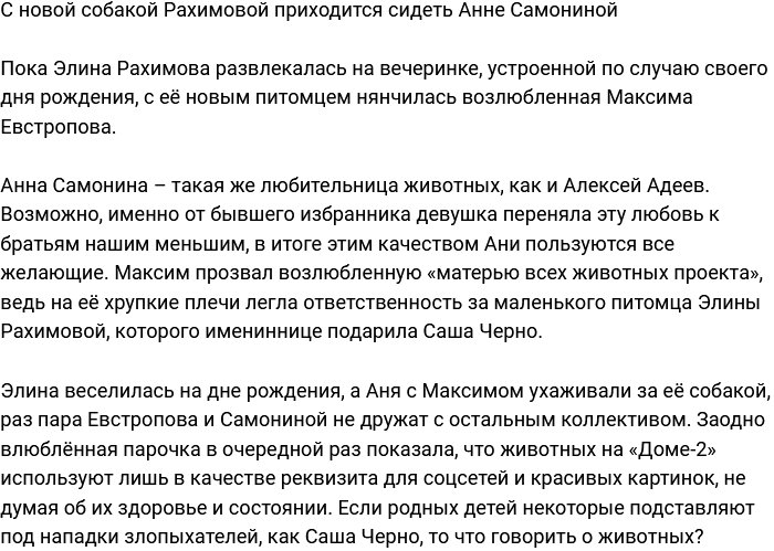 Анна Самонина присматривает за собакой Элины Рахимовой