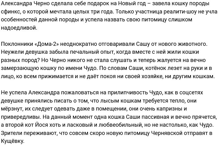 Александра Черно уже устала от нового питомца