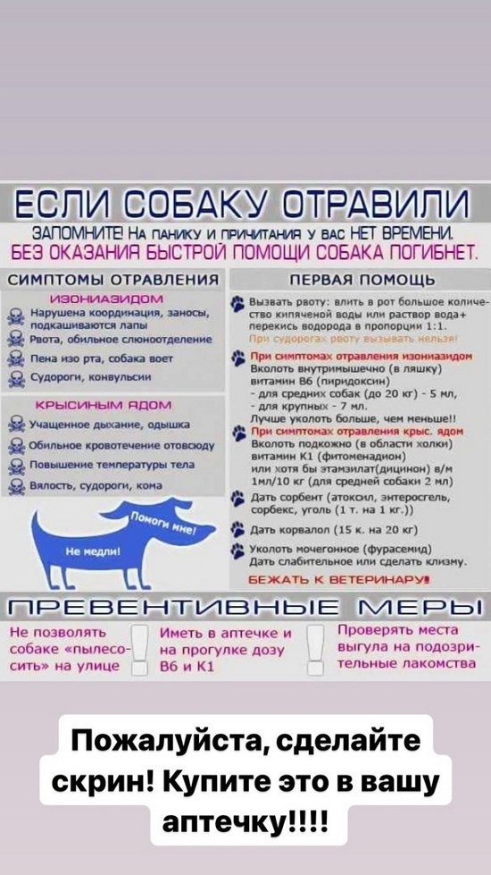 Ольга Орлова: Бруно сложный парень...