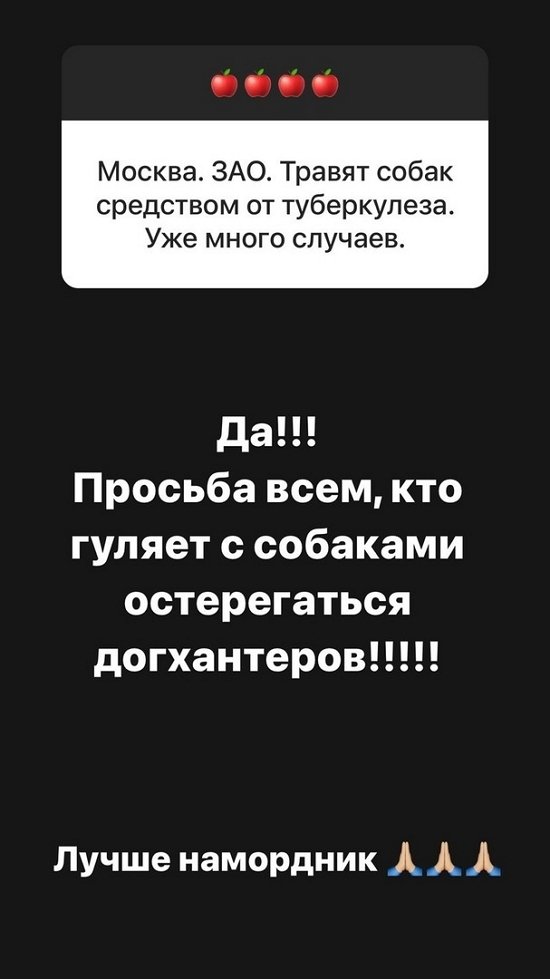 Ольга Орлова: Бруно сложный парень...