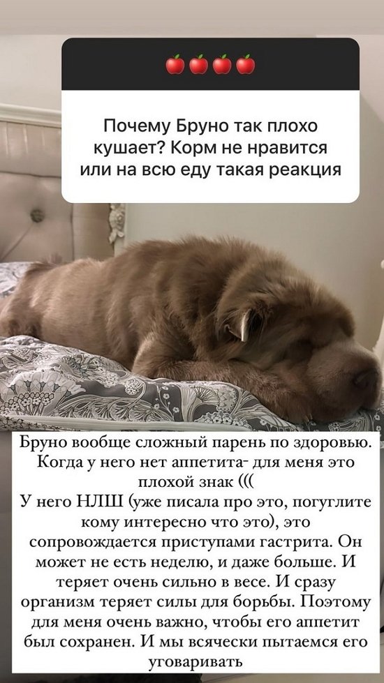 Ольга Орлова: Бруно сложный парень...