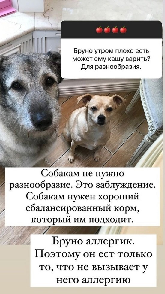 Ольга Орлова: Бруно сложный парень...
