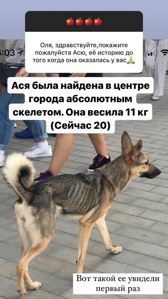 Ольга Орлова: Бруно сложный парень...